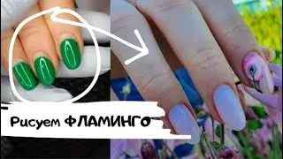 Рисуем ФЛАМИНГО / Маникюр на модели