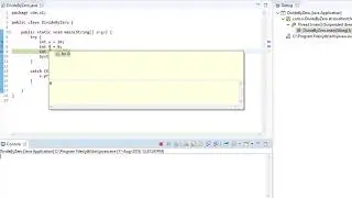 DivideByZeroProgram Exception in Java