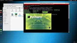 Курсы по программированию на python Часть 7 (Устанавливаем и используем Python IDE) (Этичный хакинг)