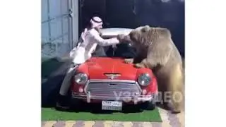 23 февраля 2020 г.