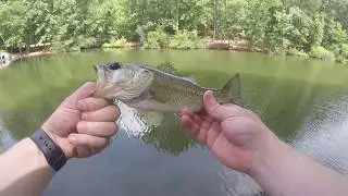 Dropshot Fishing Learned From Debo's Fishing!!!