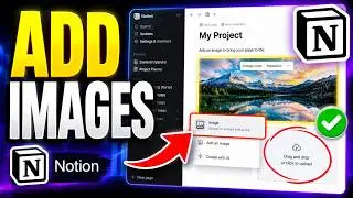 How To Add Images In Notion(2026 Step-by-Step  Guide)