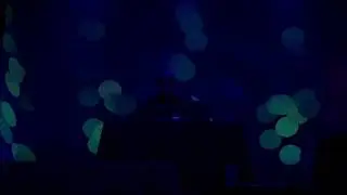 Ant Planet Musical Guest:  Brian McFarlane 2