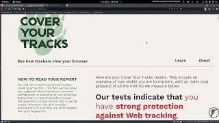 Navigation Internet : Découvrez les infos qu un site web peut collecter sur vous !