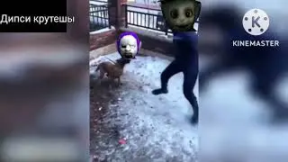 когда белы пузик дразнил тиник винки