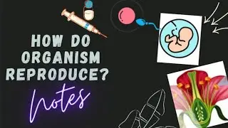 HOW DO ORGANISM REPRODUCE??                              |TERM 2| BIOLOGY| |CLASS 10|NOTES🦋