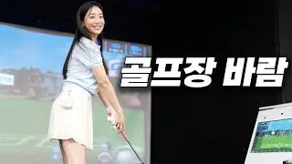 바람 합리화