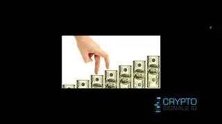 Секреты правильного Money Management