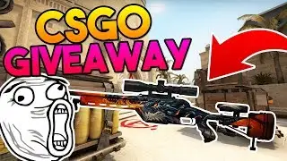 CS:GO GIVEAWAY (SSG 08 | Dragonfire)