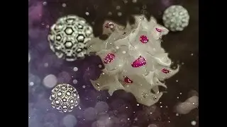 CINEMA4D TUTORIAL for BEGINNERS with X-Particles 3.5 & Dual Graph