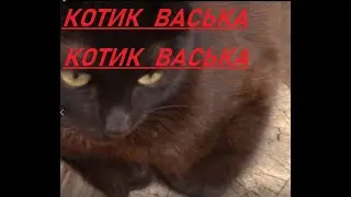КОТИКВАСЬКА   5 СЕРИЯ