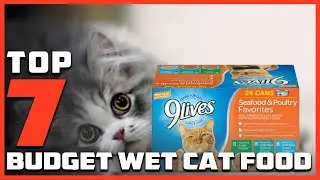 7 Best Budget Wet Foods: Affordable & Nutritious