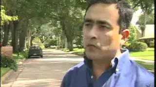 Evaluating tree damage after a hurricane. Spanish Version