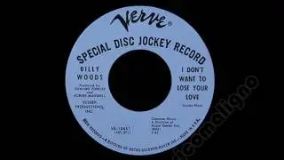 Billy Woods - I Don't Want to Lose Your Love