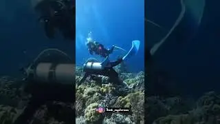 Underwater earthquake caught on camera 😳 #earthquake #ocean #facts