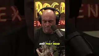 Joe Rogan and giant python