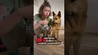 Объяснение форм przyjaciel от Марфы :) #польскийязык #польский