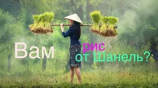 Паттайя - модные бренды в Централ Фестивале никуда не исчезли #4