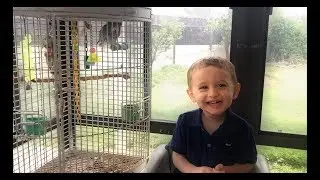 Learn colors with Chips for Kids & Johny Johny Yes PaPa Nursery Rhymes Song