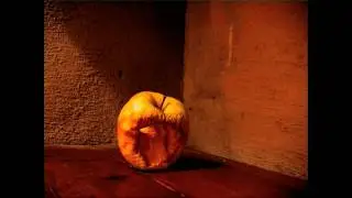 Apple Timelapse.mov
