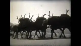 Учебная фильмотека. География. Горные системы