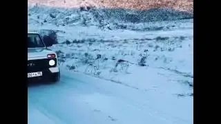 Нива урбан поднимается на снежную гору