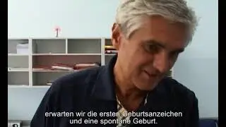 Die Position des Kindes vor der Geburt - Schwangerschaftsleitfaden
