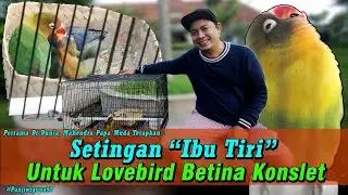 Sharing Bareng Mahendra Papa Muda Tentang Setingan 