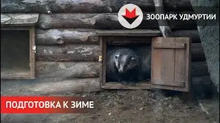 НОВОСТИ УДМУРТИИ | Животные в зоопарке Удмуртии готовятся к зиме