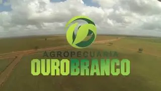AGROPECUARIA OUROBRANCO VENEZUELA