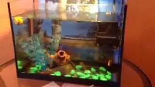 Хороший эффект)