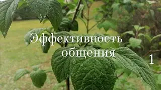 Эффективность общения