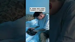 ДОМАШНИЕ ЖИВОТНЫЕ И ИХ МИЛЫЕ ПРИВЫЧКИ 