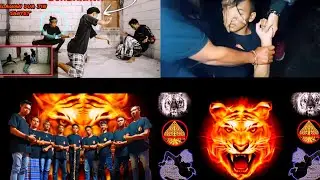 Ilmu Segoro macan