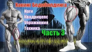 Как накачать ноги. Квадрицепс. Лучшие упражнения. Техника. Часть 3. Хакинг Бодибилдинга