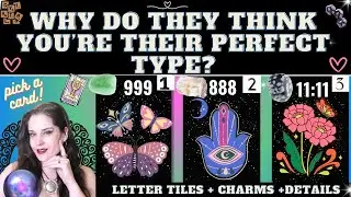WHY DO THEY THINK YOU'RE THEIR PERFECT TYPE (BODY, MIND, +SOUL and COMPATIBILITY) TAROT PICK A CARD