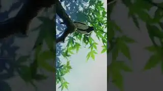 ДРОП В ТГК: SEDIDER