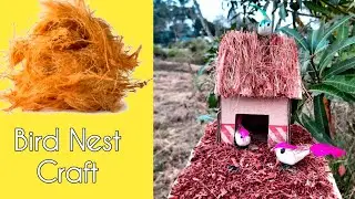DIY bird house making with coconut husk and Cardboard.