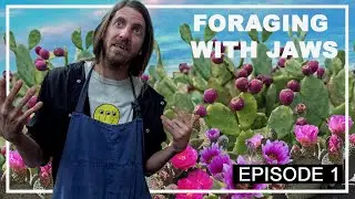 FORAGING Done RIGHT - You've Been Doing It WRONG!