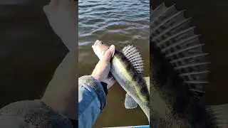 утопили рыбку #отдых #рыбалка