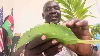 Put Your Name In Cloves Get Good Luck