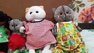 вечер басиков