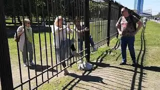 13 июня 2020 г.