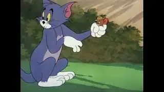 REAL STORY   Tom and Jerry