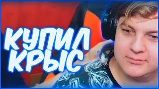 ПЯТЁРКА КУПИЛ ДОМАШНИХ КРЫС / ПЯТЕРКА РАССКАЗЫВАЕТ КАК ПОЗНАКОМИЛСЯ С OTERMINE / НАРЕЗКА СТРИМА