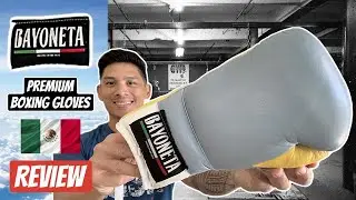 Bayoneta Premium Horsehair Boxing Gloves REVIEW- GREAT ALL AROUND BOXING GLOVES REMIND ME OF GRANT!