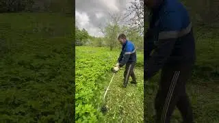 Борьба с травой.Она когда-нибудь перестанет расти? 