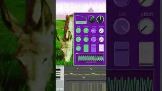 Mulekick 🫏 FREE 808 Basdrum Plugin