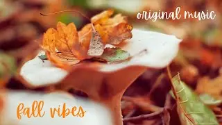 FALL VIBES, SHORT RELAXING NATURE VIDEO + ORIGINAL MUSIC CREATED ON KORG WAVESTATE SYNTHESIZER