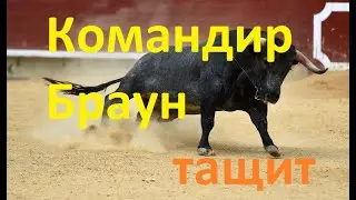 Командир Браун, крутое улучшение для ваших магических шахмат) Mobile Legende